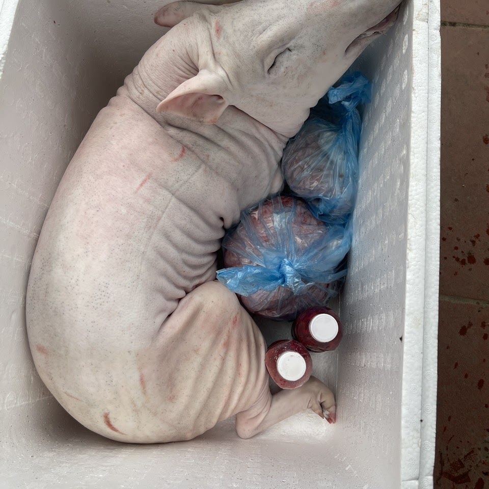 Thịt lợn mán Thịt lợn mán