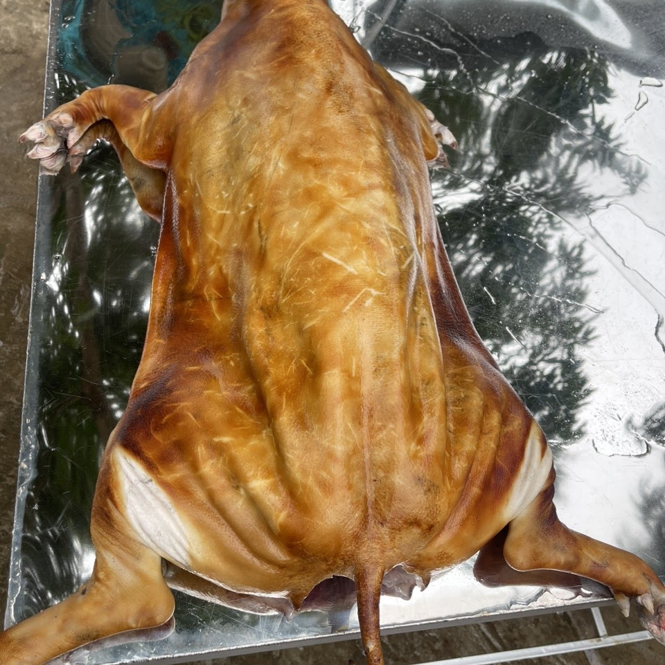 địa chỉ bán lợn mán địa chỉ bán lợn mán